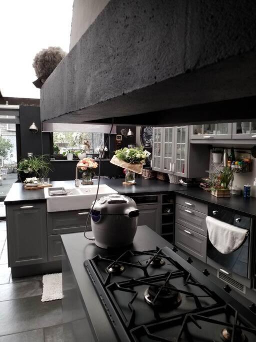 Maison Cosy Et Zen Au Chemin Du Bonheur Hondschoote